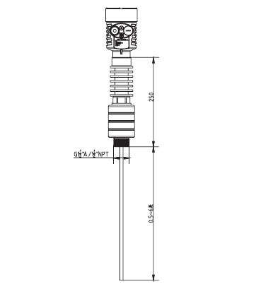 高溫導(dǎo)波雷達(dá)物位計(jì)外型尺寸圖